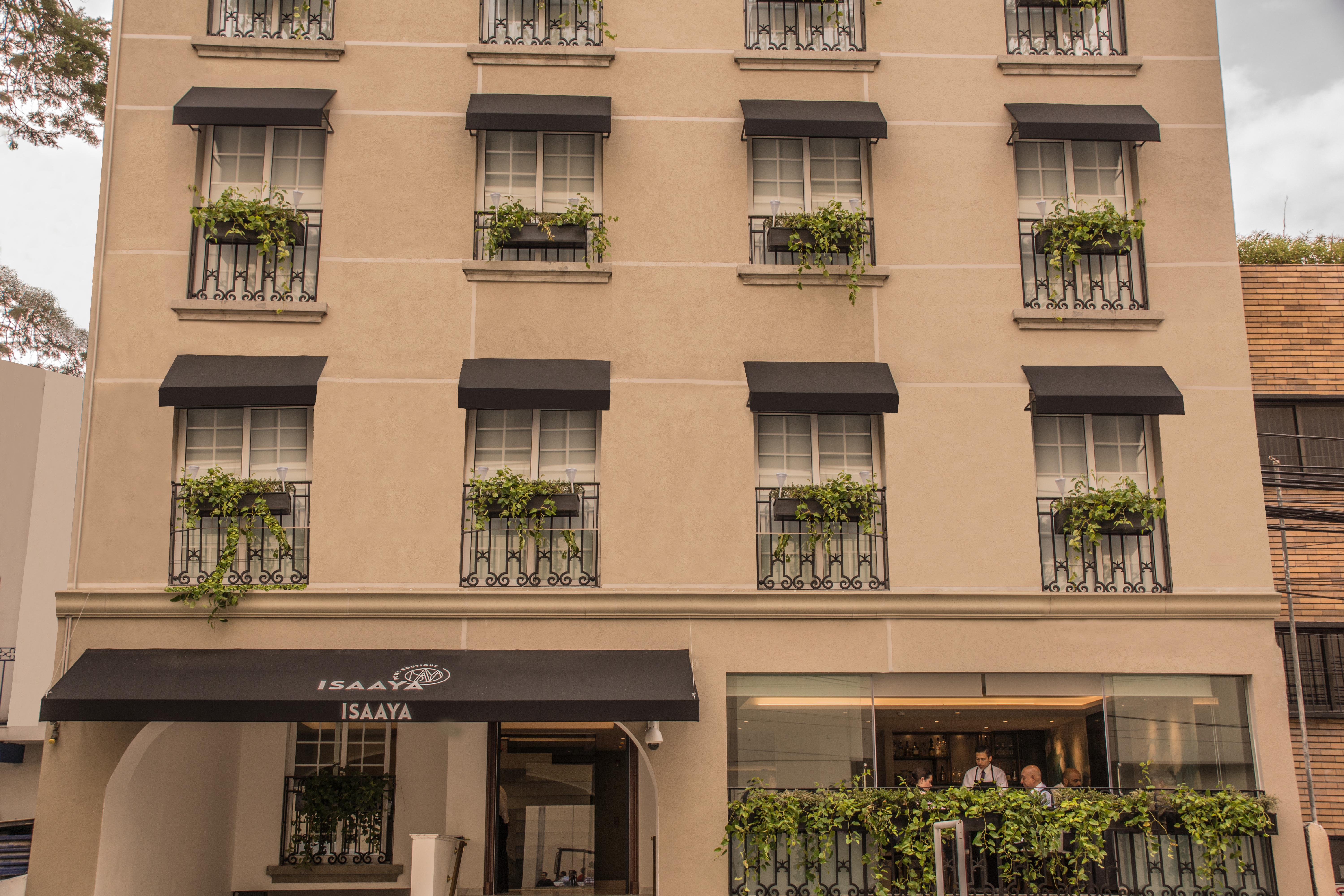 Isaaya Hotel Boutique By Wtc Mexico City Ngoại thất bức ảnh